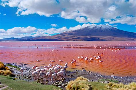 uyuna|11 Best Things to Do in Uyuni, Bolivia: The Land of Salt and Stars